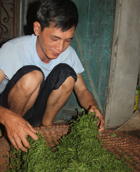 Báu vật chốn thâm sơn ảnh 3