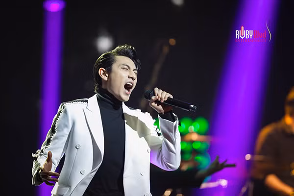 Hồng Ngọc bùng nổ với 4000 khán giả tại liveshow "20 năm tình đời" ảnh 15