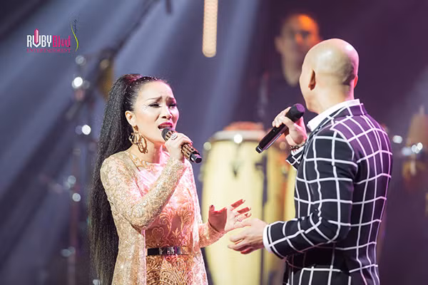 Hồng Ngọc bùng nổ với 4000 khán giả tại liveshow "20 năm tình đời" ảnh 10