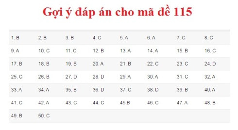 Gợi ý đáp án môn Toán kỳ thi THPT Quốc gia 2017 ảnh 7