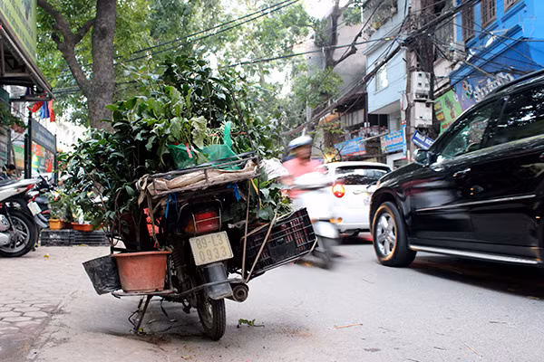 Chiều 30 Tết, Hà Nội vẫn nườm nượp người sắm đào quất ảnh 11 Chiều 30 Tết, Hà Nội vẫn nườm nượp người sắm đào quất ảnh 11