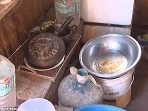 Em bé 2 tuổi sống sót kỳ diệu nhờ được bú sữa của "cô chó tốt bụng" ảnh 4