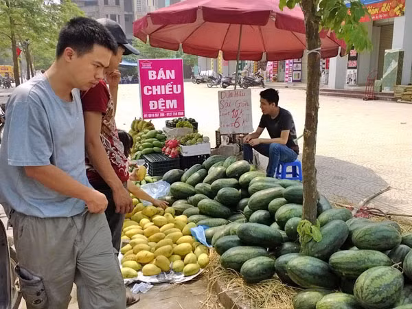 Ngỡ ngàng vì hoa quả được mùa, giá vẫn cao ảnh 1