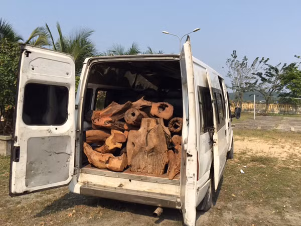Xe khách chở gỗ lậu ảnh 1