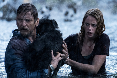 "Đại chiến" tháng 8 trên màn ảnh rộng ảnh 1