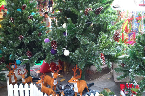 Phố Hàng Mã: Rực rỡ sắc màu mùa Giáng sinh ảnh 9