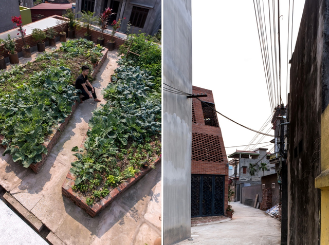 Công trình kiến trúc Việt Nam bất ngờ giành Giải thưởng A+ năm 2018 ảnh 3