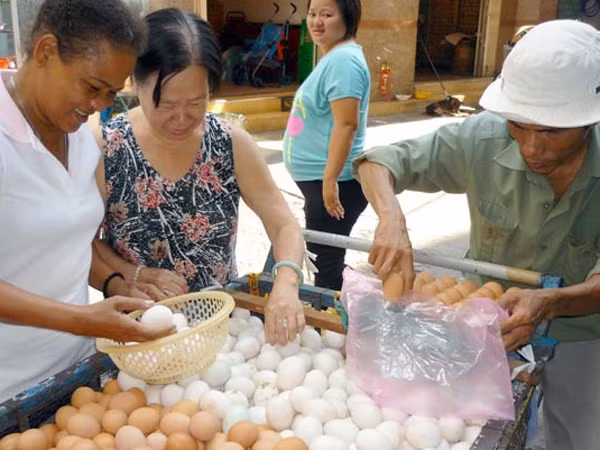 Trứng gà tăng giá ảnh 1