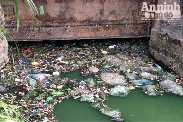 Hồ Văn Quán: Tảo nổi váng dày đặc, bốc mùi ảnh 6 Hồ Văn Quán: Tảo nổi váng dày đặc, bốc mùi ảnh 6