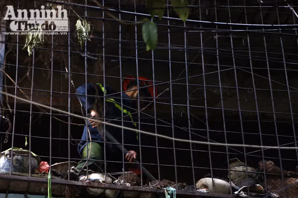 Cháy tại khu tập thể Viện Năng lượng (Đống Đa) ảnh 9