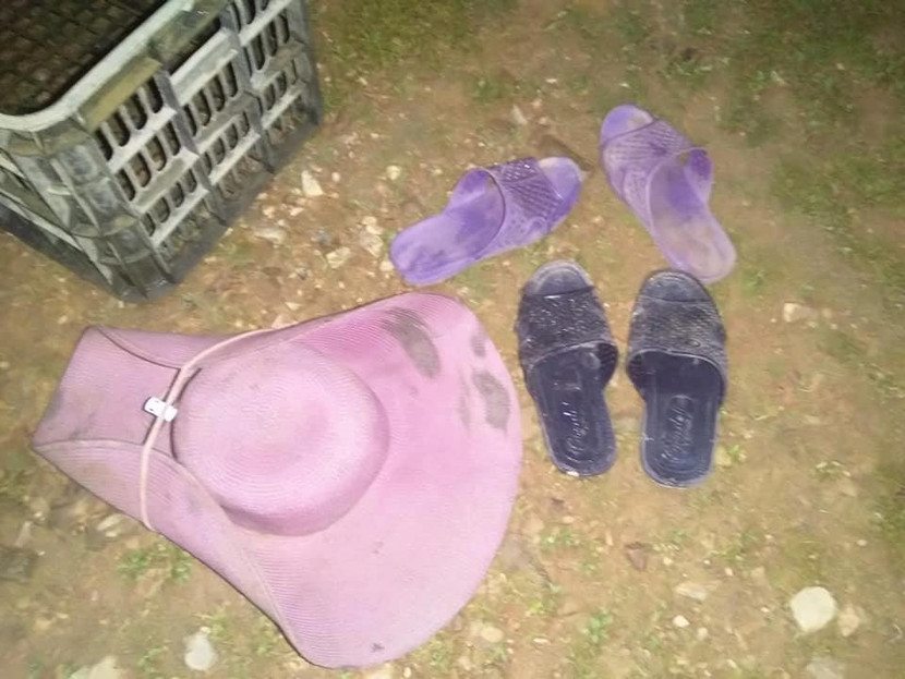 Rủ nhau đi câu cá, hai học sinh lớp 1 đuối nước thương tâm ảnh 2