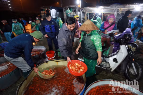 Xem "phương tiện" đặc biệt đưa cá chép xuống sông tiễn ông Táo ảnh 9