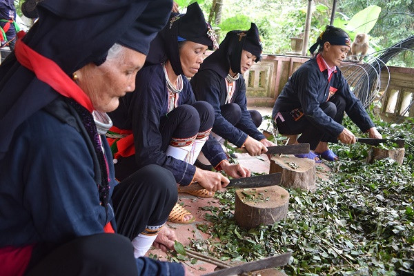 Hà Nội: Cần giải pháp hữu hiệu để phát triển kinh tế - xã hội vùng đồng bào dân tộc thiểu số ảnh 4