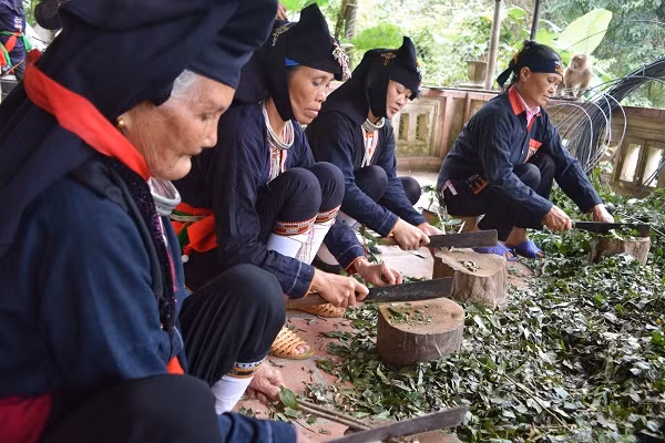 Hà Nội: Cần giải pháp hữu hiệu để phát triển kinh tế - xã hội vùng đồng bào dân tộc thiểu số ảnh 4