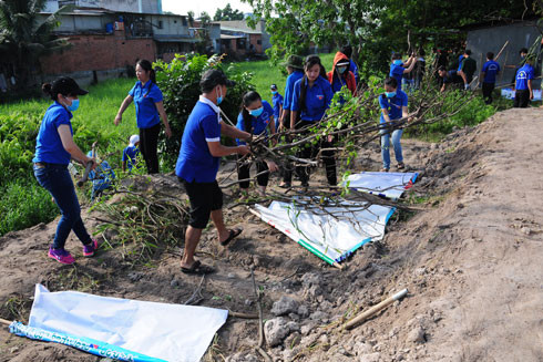 3,5 triệu người tham gia các hoạt động bảo vệ môi trường ảnh 1