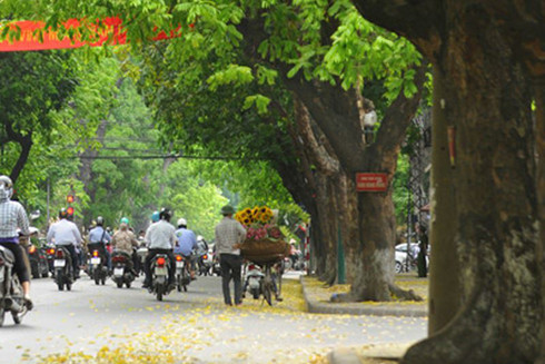 Đường Trần Phú: Phảng phất những nét cổ điển của châu Âu hoa lệ ảnh 3