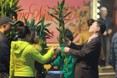 Những Giao thừa ước mơ ảnh 1