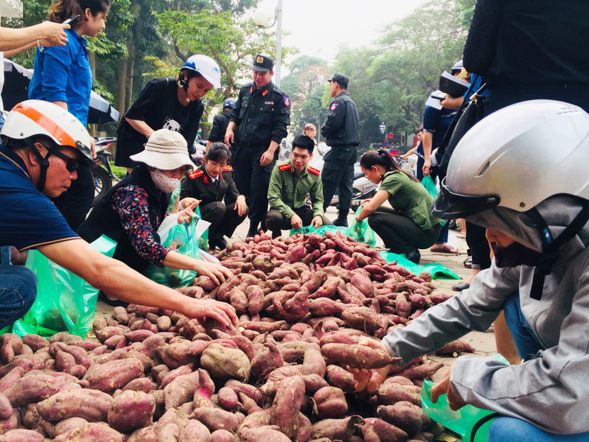 Các chiến sỹ trẻ lên kế hoạch "giải cứu" 200 tấn khoai lang cho đồng bào Gia Lai ảnh 2