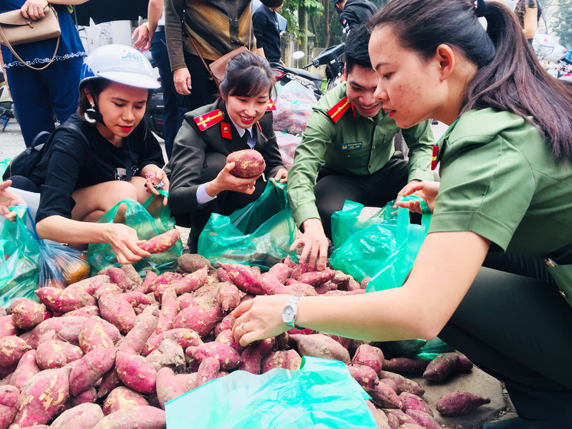 Các chiến sỹ trẻ lên kế hoạch "giải cứu" 200 tấn khoai lang cho đồng bào Gia Lai ảnh 1
