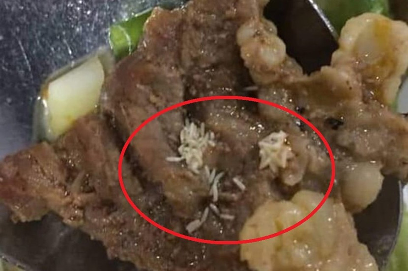 Công nhân tá hỏa khi phát hiện cả ổ giòi trong miếng thịt ảnh 1