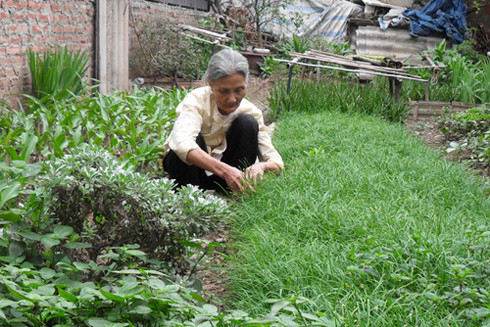 Đất Thăng Long - Hà Nội thời nào cũng có thầy thuốc giỏi ảnh 2