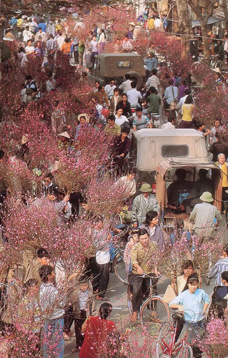 Thấy Tết ảnh 1