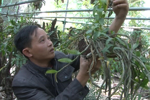 Vượt qua mặc cảm, vươn lên làm giàu chính đáng ảnh 2