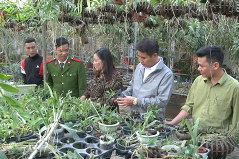 Vượt qua mặc cảm, vươn lên làm giàu chính đáng ảnh 1