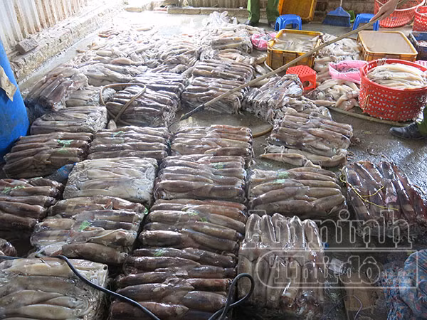 Hà Nội: Phát hiện 2 tấn mực thối chuẩn bị “tuồn” vào các đám cưới ảnh 2