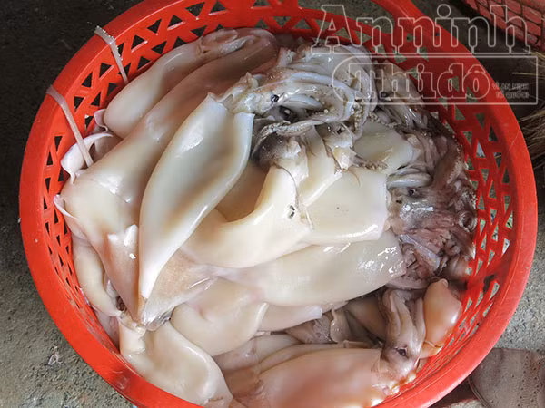 Hà Nội: Phát hiện 2 tấn mực thối chuẩn bị “tuồn” vào các đám cưới ảnh 5