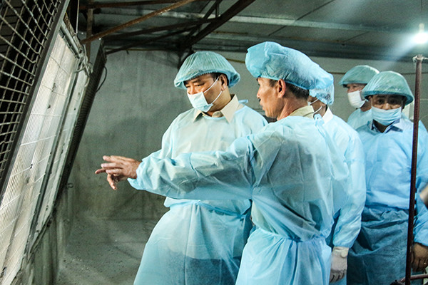 Thủ tướng chỉ rõ 3 điểm chính để phòng chống dịch tả lợn châu Phi ảnh 4