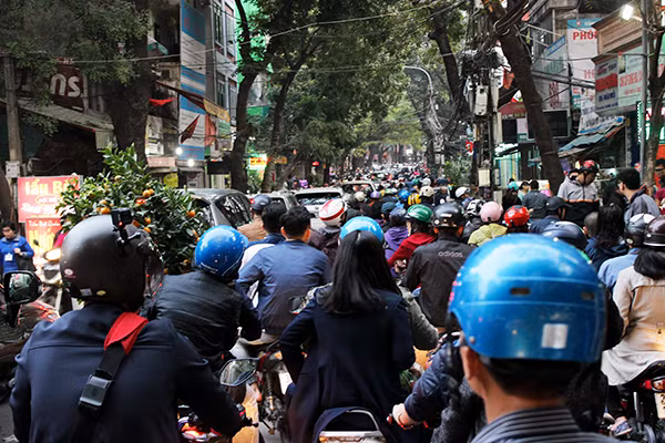Chiều 30 Tết, Hà Nội vẫn nườm nượp người sắm đào quất ảnh 10 Chiều 30 Tết, Hà Nội vẫn nườm nượp người sắm đào quất ảnh 10