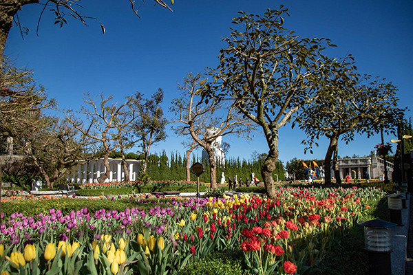 Đằng sau chuyện "thêu hoa lên núi" tại khu các du lịch ảnh 2 Đằng sau chuyện "thêu hoa lên núi" tại khu các du lịch ảnh 2