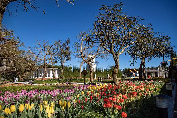 Đằng sau chuyện "thêu hoa lên núi" tại khu các du lịch ảnh 2