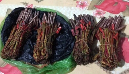 Vận chuyển thuê gần 2 tạ thuốc nổ và 100 kíp mìn ảnh 2