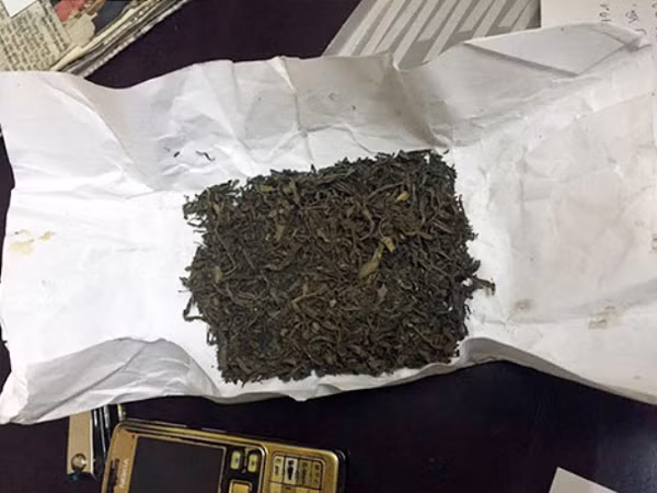 Cảnh sát cơ động phát hiện 2 đối tượng mang theo "cỏ Mỹ" ảnh 1