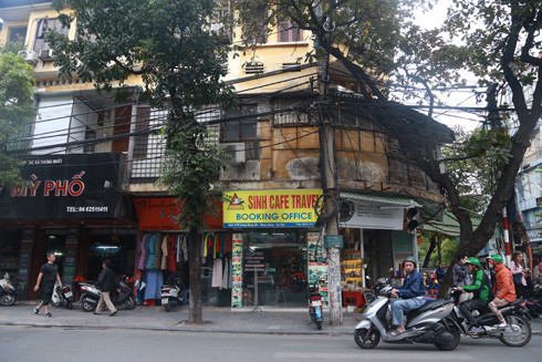 "Vác mai đi đào" ở Thủ đô ảnh 1