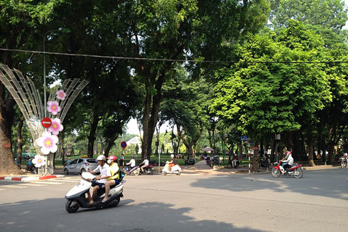 Đường Trần Phú: Phảng phất những nét cổ điển của châu Âu hoa lệ ảnh 2
