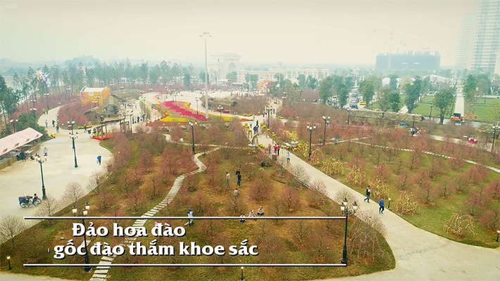 Những dấu ấn khó quên tại lễ hội hoa đào lớn nhất Việt Nam ảnh 2