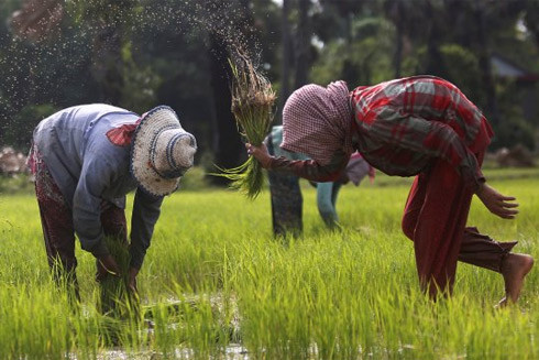 Người dân Campuchia "mắc kẹt" trong khoản "tín dụng vi mô" để thoát nghèo ảnh 1