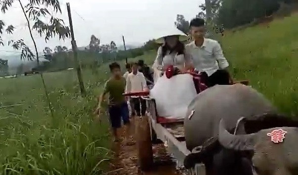 Đám cưới ngày mưa lũ: Chú rể đón dâu bằng xe trâu, cả làng san đường chờ xe hoa ảnh 1