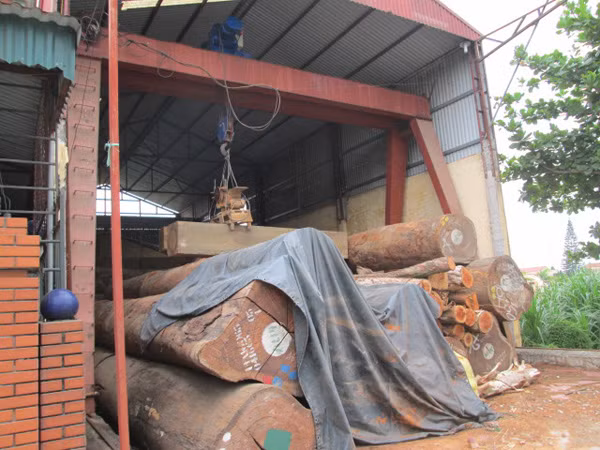 Bé trai 9 tuổi chết thương tâm, xưởng gỗ vẫn ngang nhiên hoạt động ảnh 2