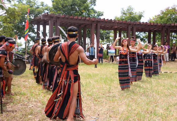 "Hoa rừng" Tây Giang khoe sắc giữa lòng Hà Nội ảnh 8