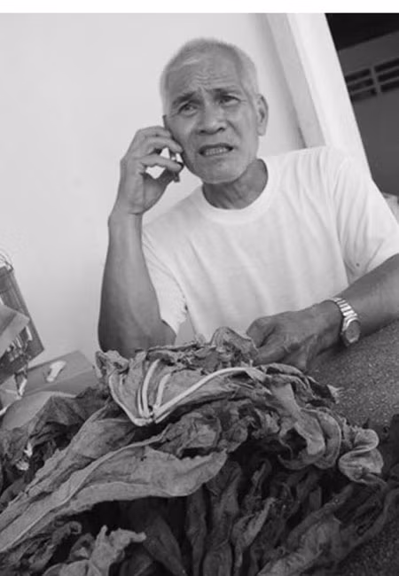 Ăn cóc có chữa được ung thư? ảnh 1