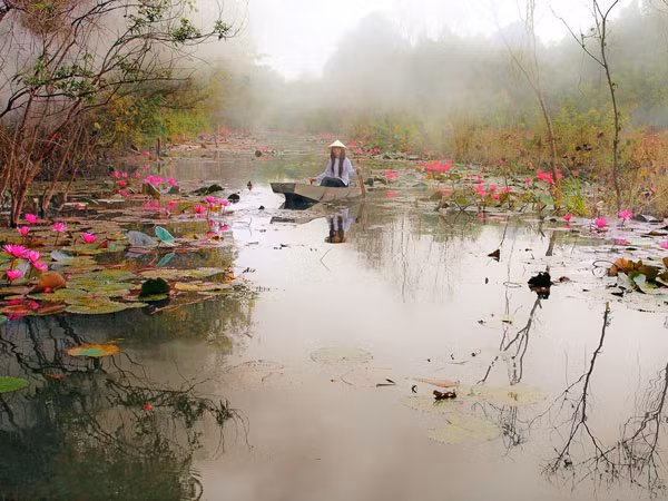 "Hương sắc trăm miền" ảnh 1