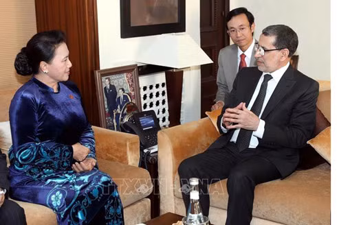 Việt Nam sẵn sàng là cửa ngõ để Morocco bước vào thị trường ASEAN ảnh 1