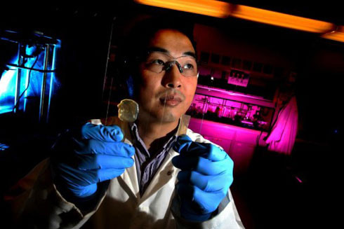 Tự chữa lành vết thương như Người Sói ảnh 1