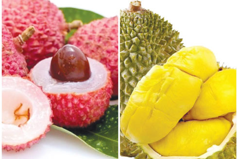 Những thực phẩm tạo nồng độ cồn ảnh 1