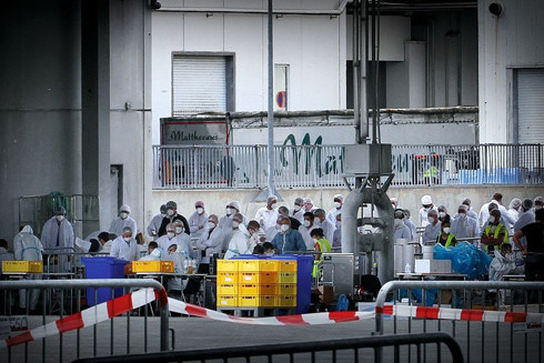 Đứt gãy chuỗi cung ứng thịt lợn giá rẻ ở các lò mổ phía Tây nước Đức và cái giá phải trả ảnh 2