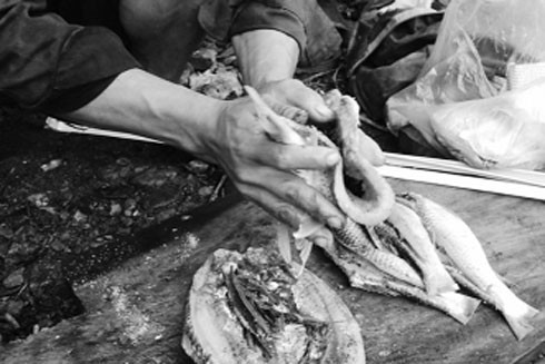 "Vua gia vị Tây Bắc" và chuyện đưa "pa pỉnh tộp" về Hà Nội ảnh 3